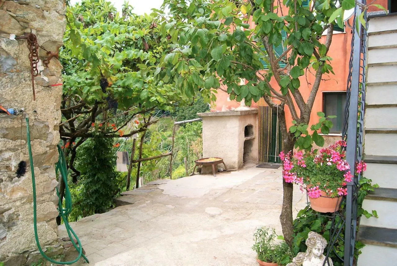 Chez Il Pino Apartment Vernazza